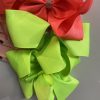Girls big bow