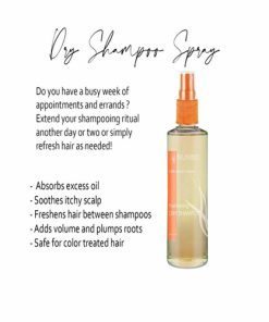 Alternative view of Dry Shampoo Spray